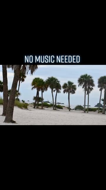 @user495167308608