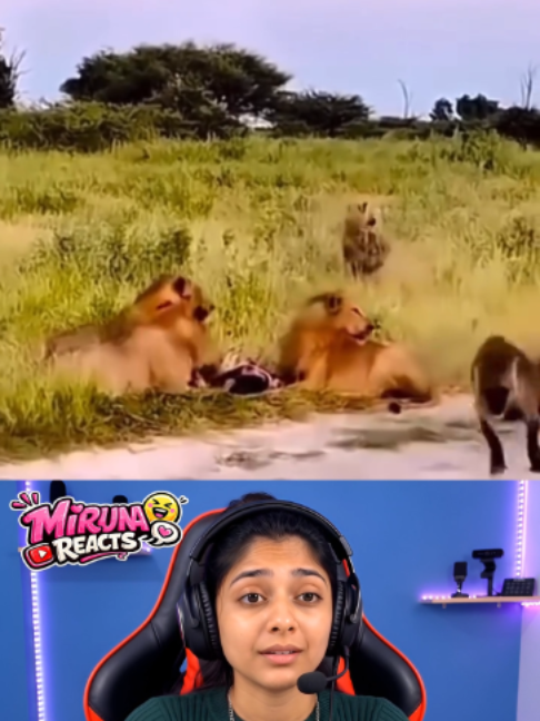 @Miruna reacts