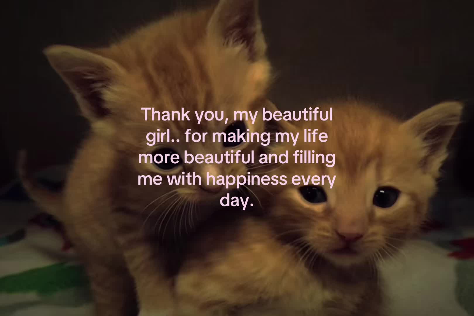 @sxalenz