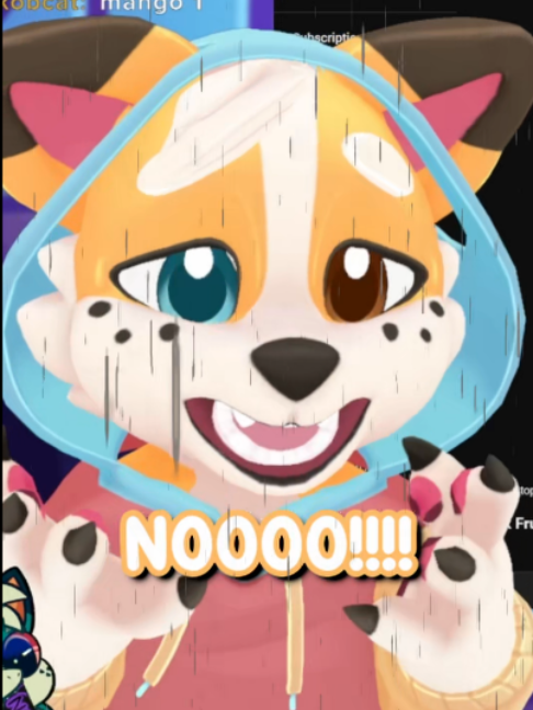 @Corgi