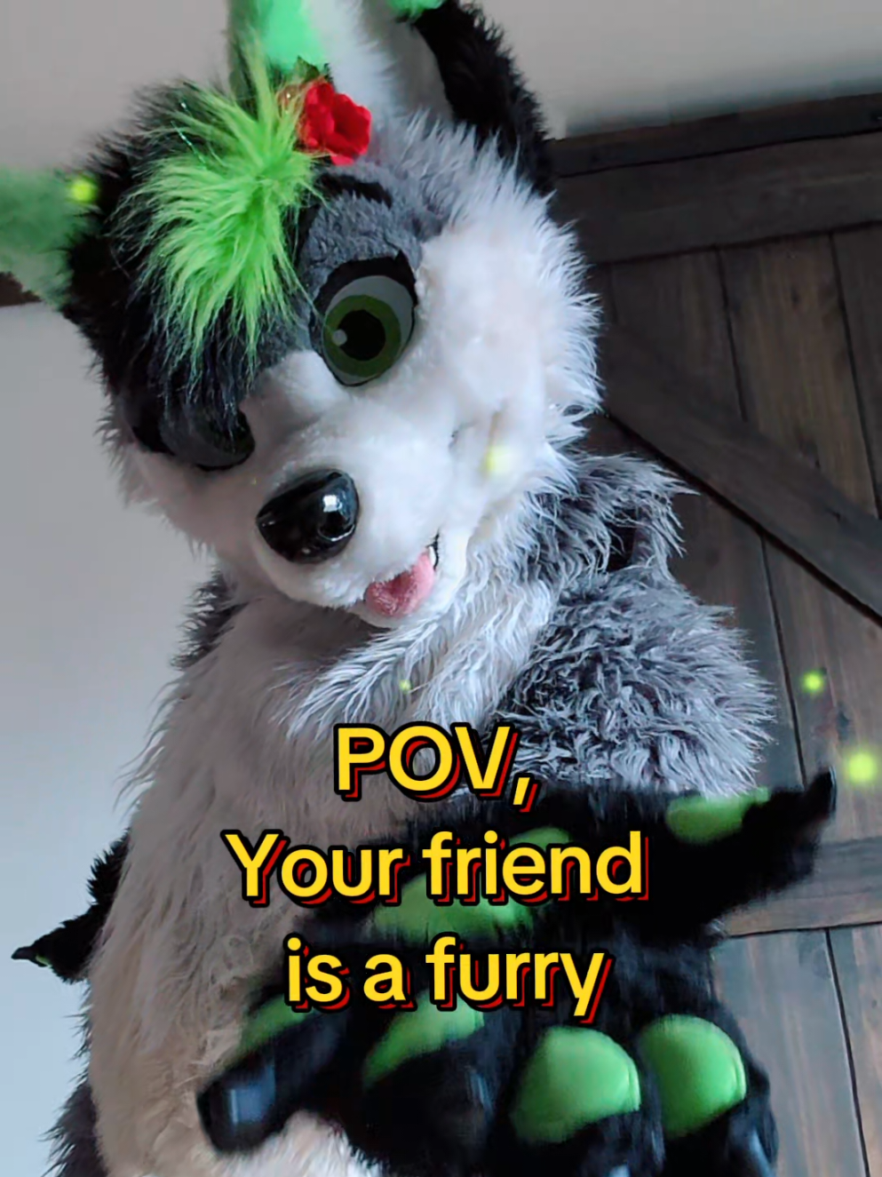 @Firefly Wolfy