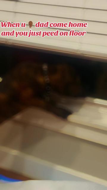 @andrew matthews