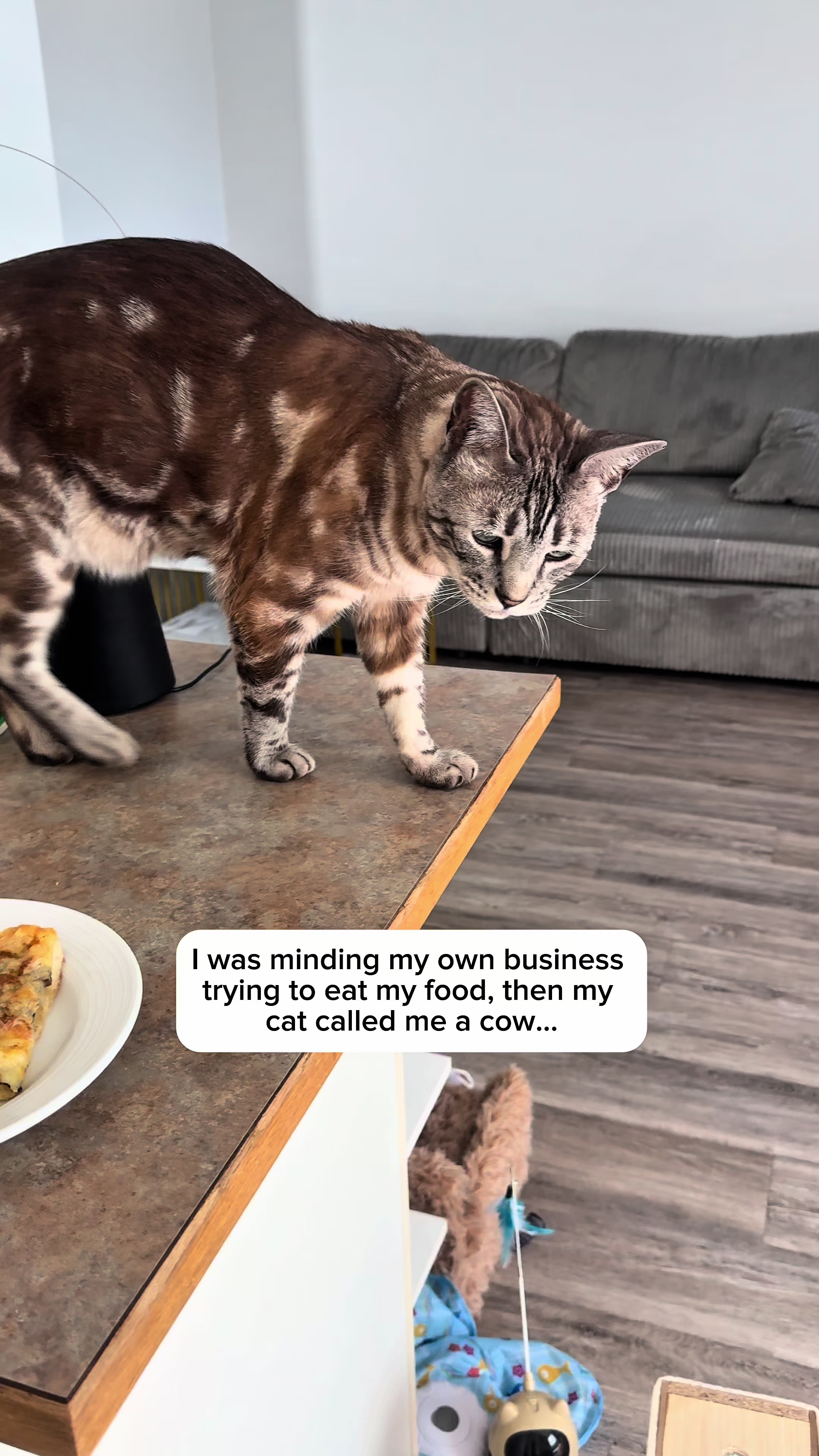 @Three Nawty Cats