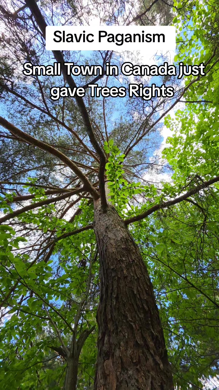 @SlavicSpirit