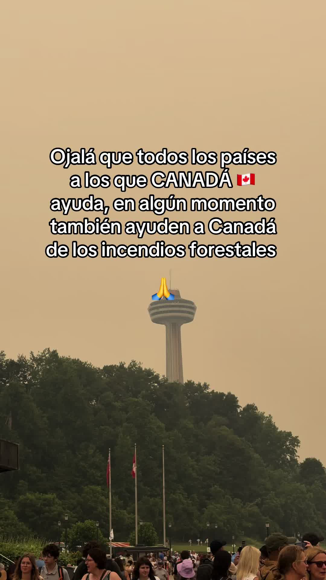 @Algoqcontar