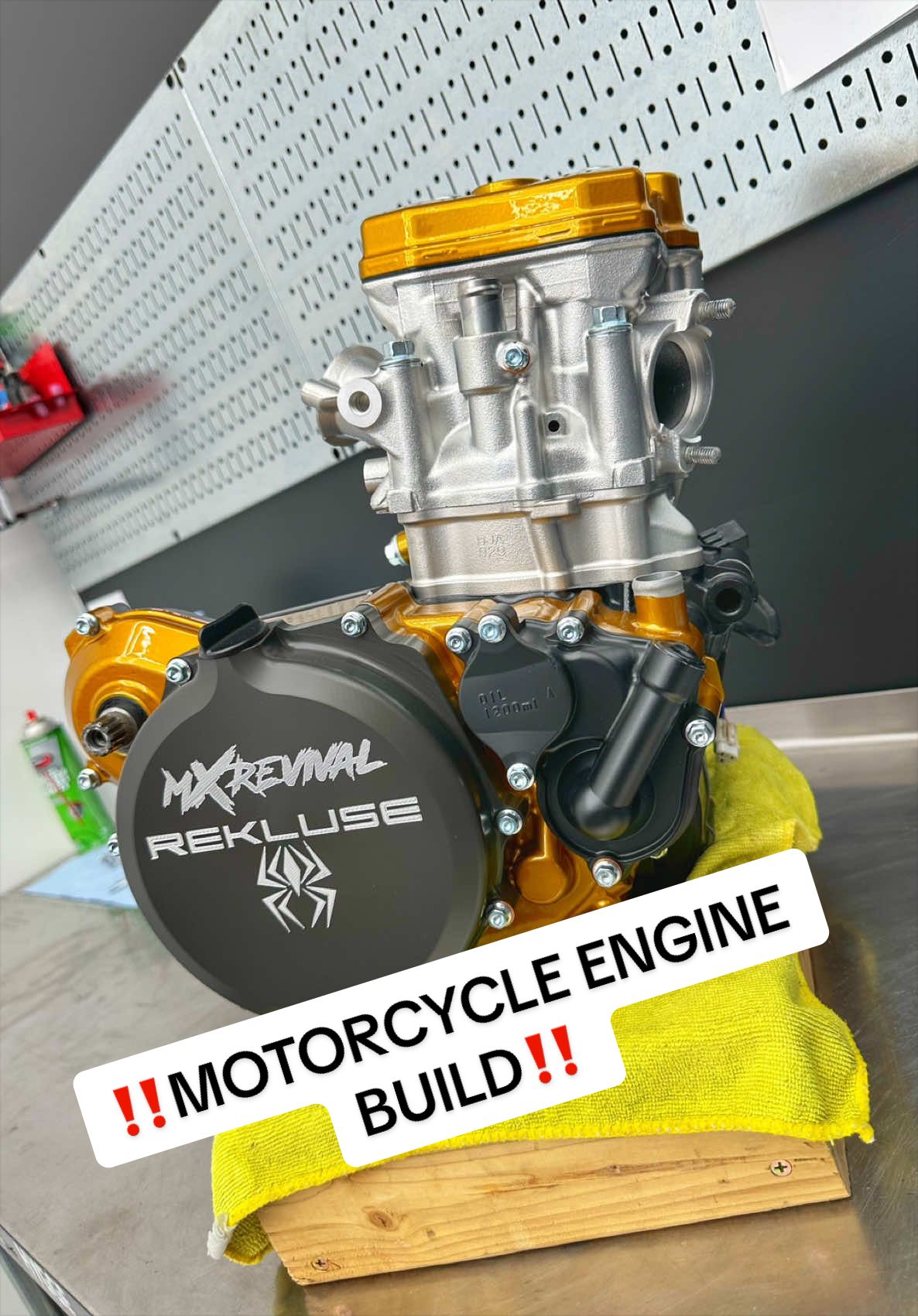 @mXrevival