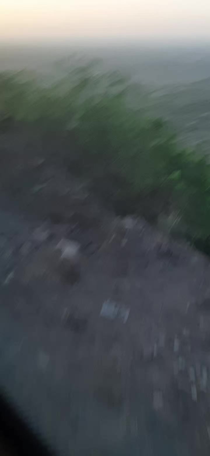 @Shumaila Akhtar