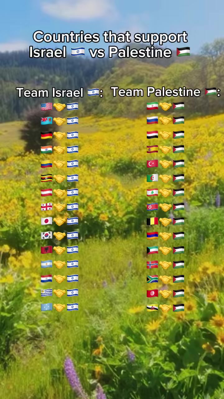 @🌎⚔️🪖