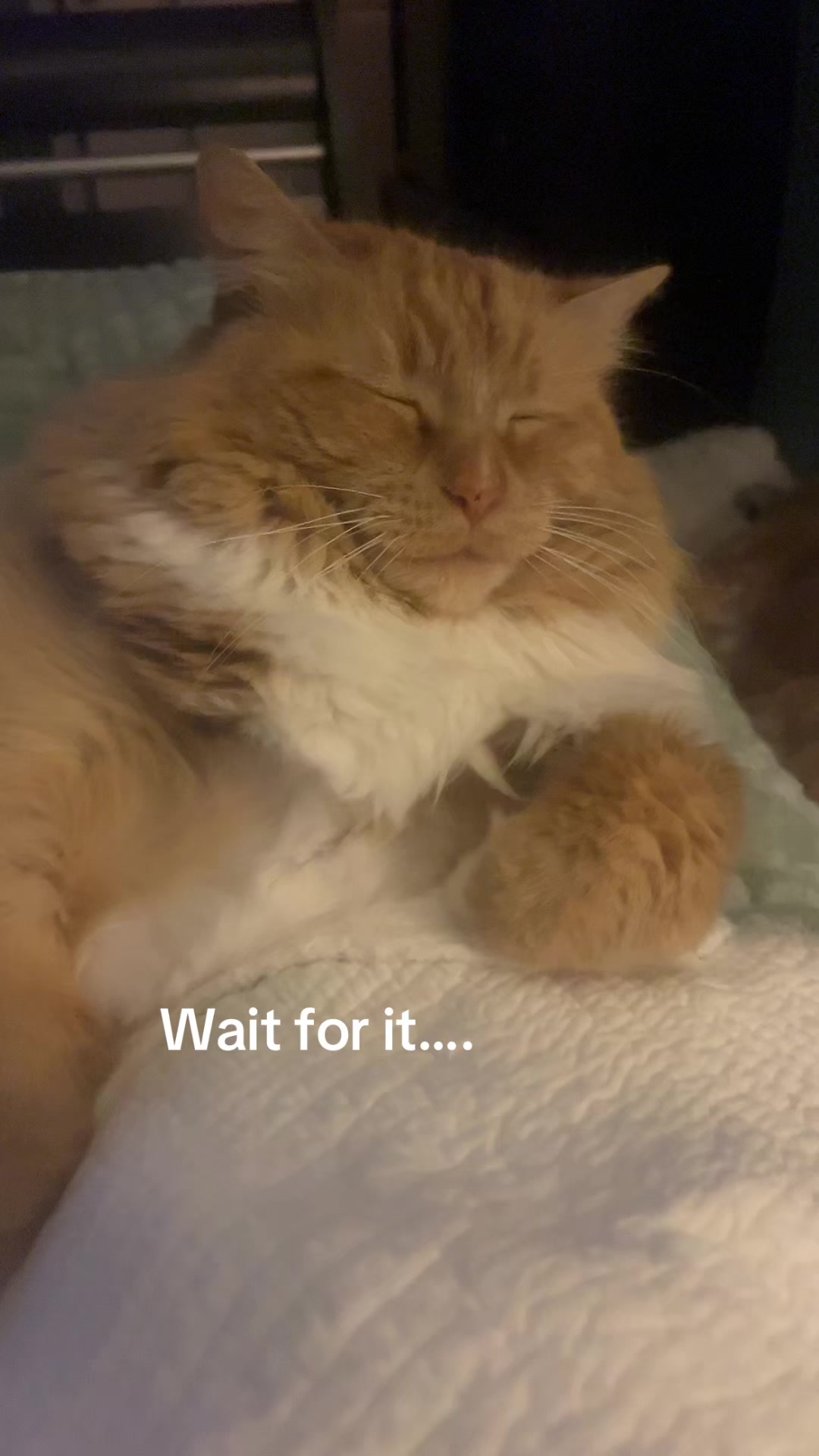 @Zoey