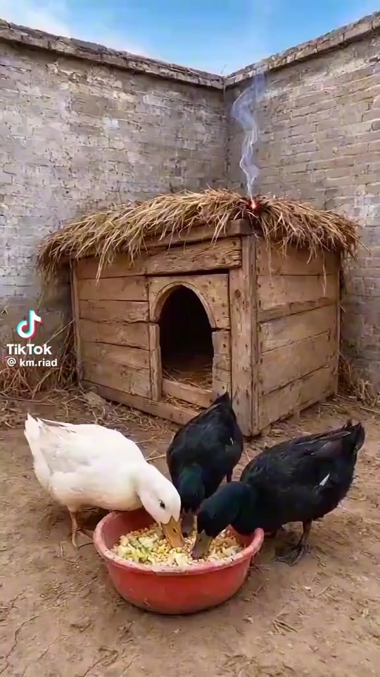 @❤️❤️লামিয়া❤️ইসলাম❤️❤️