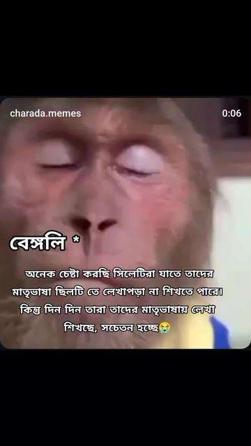 @Sylheti 🇧🇩