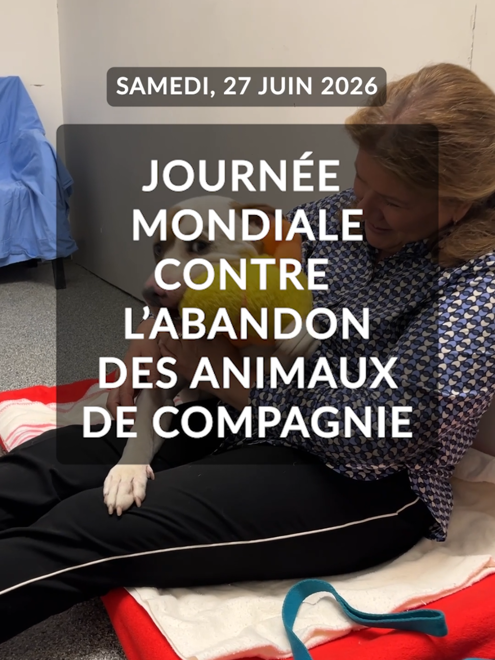 @Montreal SPCA