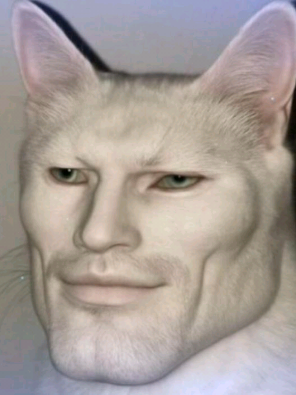 @Shani