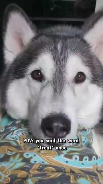 @Freya & Kuma
