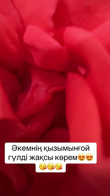 @Оразқызы Жанар