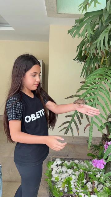 @irmas.pina