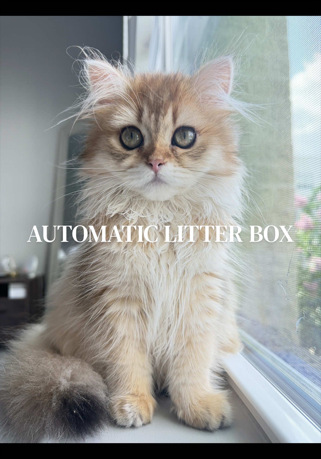 @Leia 🌸