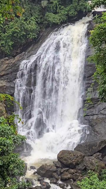 @Incredible India