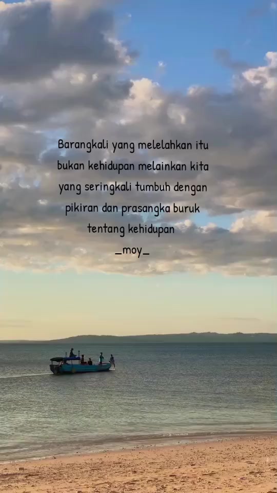 @moy