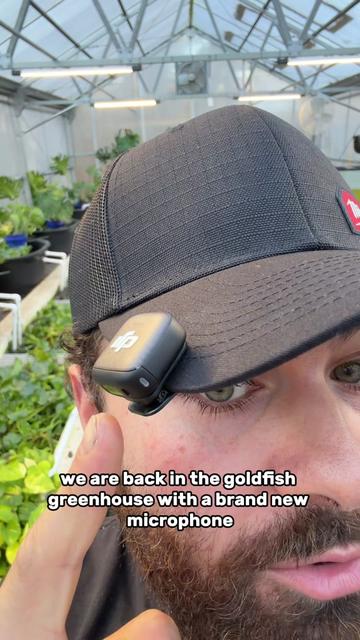 @The Goldfish Guy