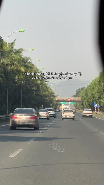 @Reels của Tình 🫧