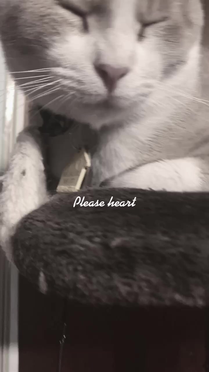 @hiimralph