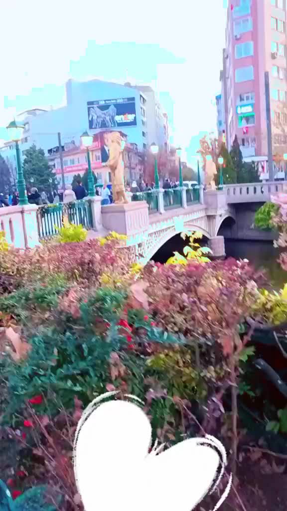 @★•°•𝐒𝐞𝐭𝐚𝐫𝐞•°•★