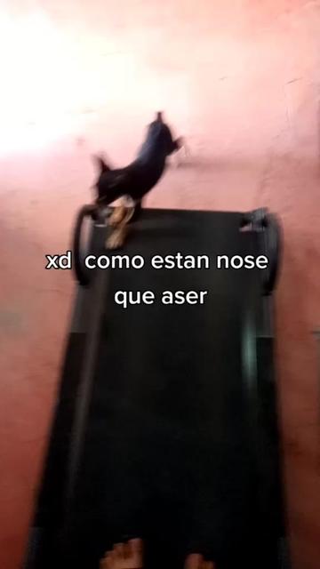 @editsdetodo