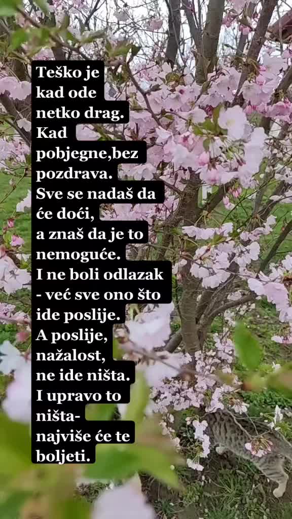 @Tasana92