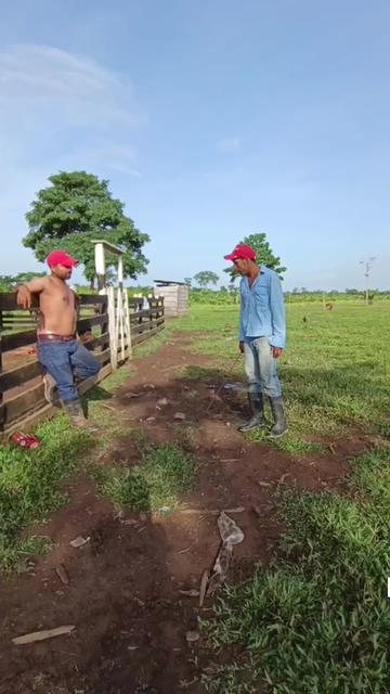 @elix Días