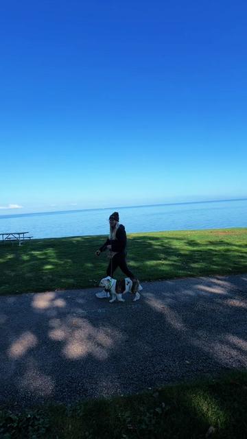 @Miracle K9 Training