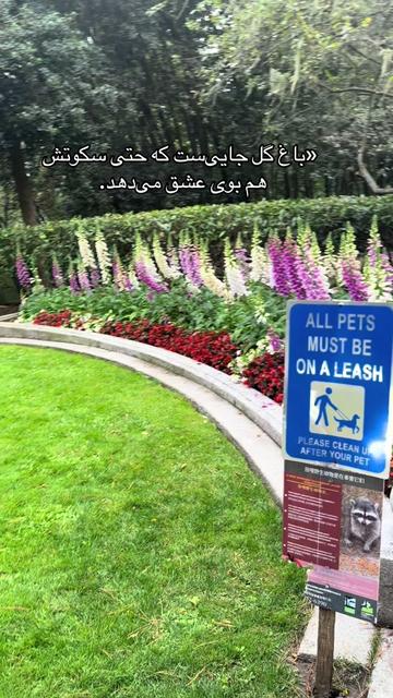@shakiba Noori