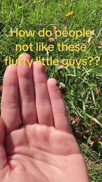 @thatweirdanimalgirl