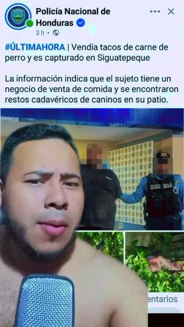 @mauroHD