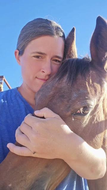 @🐎🐴picture perfect🐴🐎
