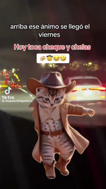 @johannagonzalez595