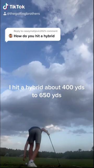 @thewynta