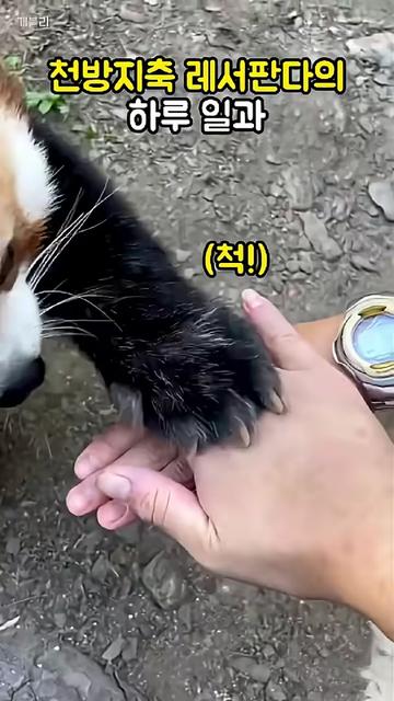 @개블리