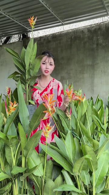 @Tiệm L&aacute; Nhỏ