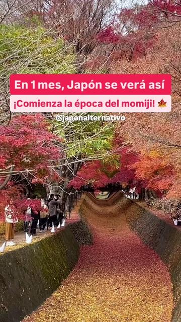 @Jap&oacute;n Alternativo