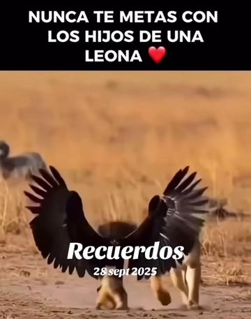@Angeles Quintero campos