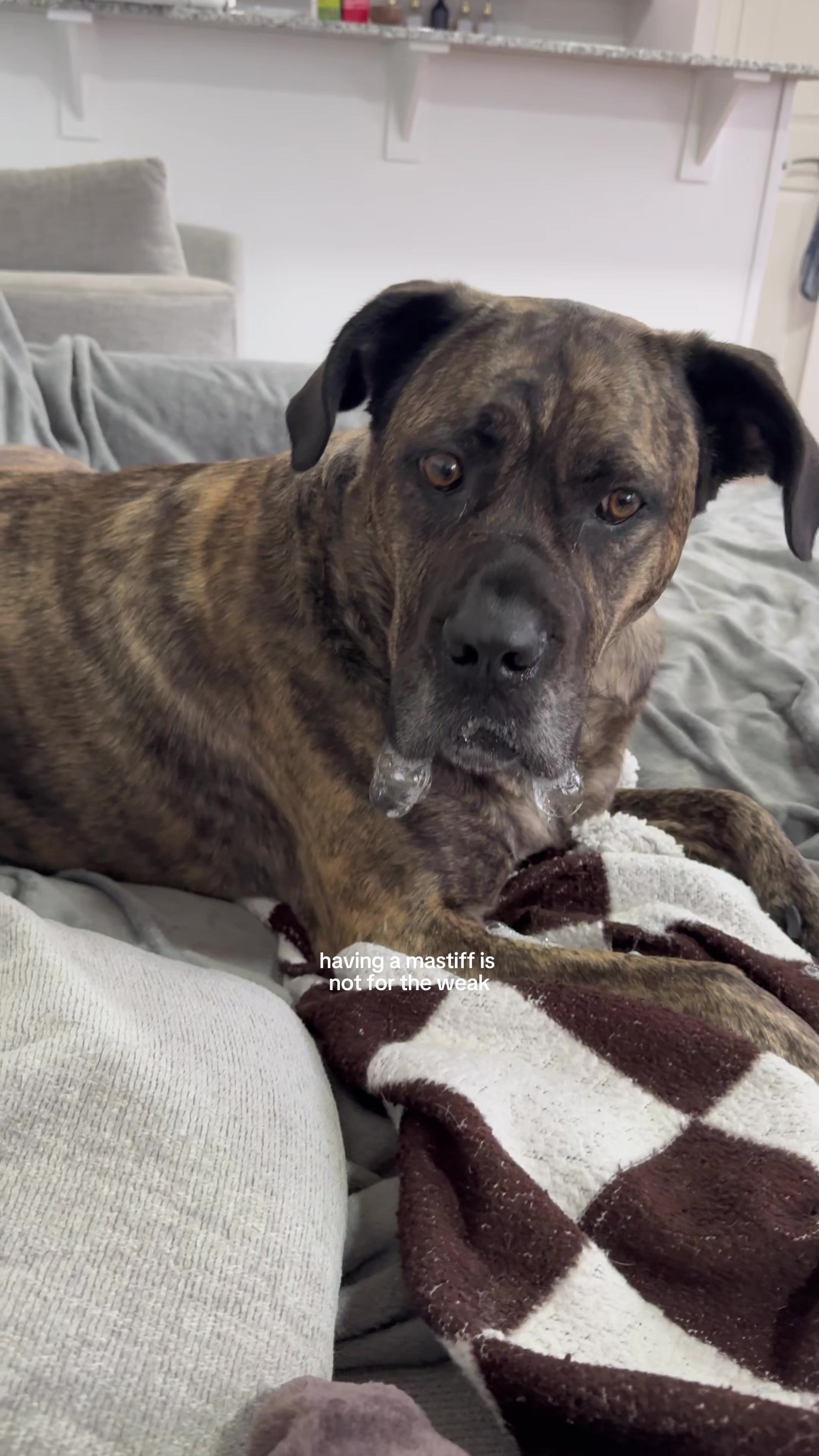 @Brynta