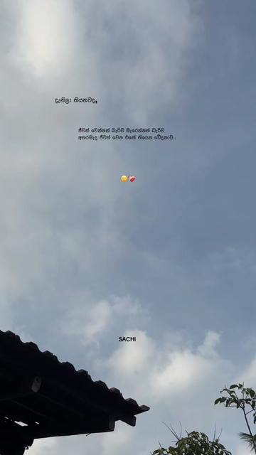 @𝙎𝗮𝗰𝗵𝗶┃සචි 〲 🩸🍃