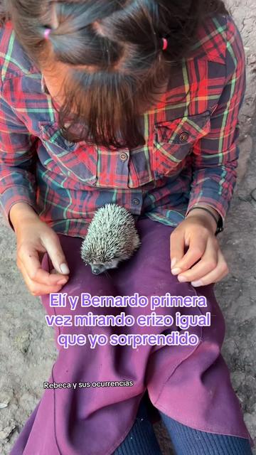 @🐈Rebeca y sus ocurrencias