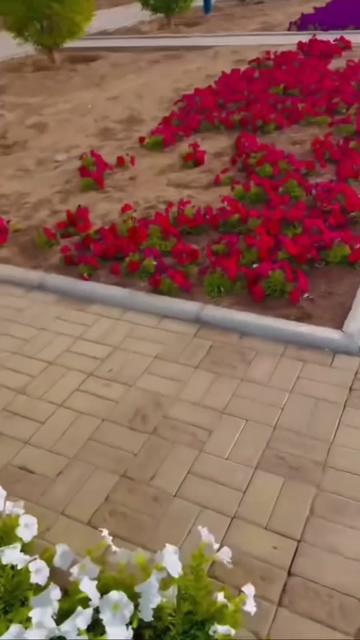 @user7998216000994