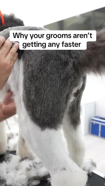 @NorCal Grooming Academy