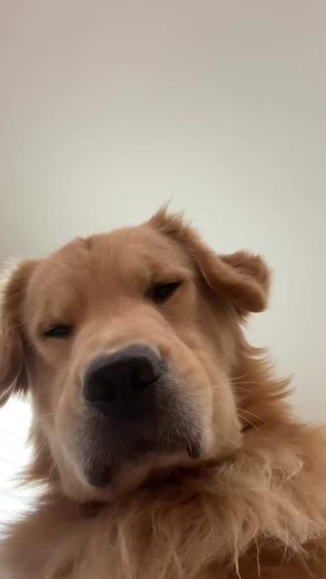 @cuteanimals472