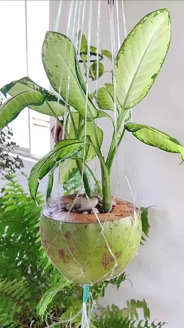 @EcoaBio - Educa&ccedil;&atilde;o Ambiental