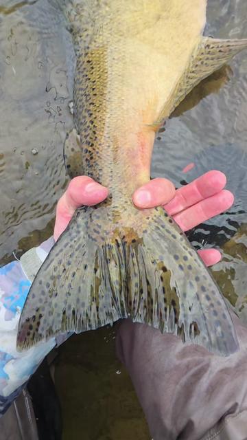 @the360angler
