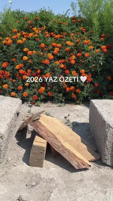 @365gunmutfak